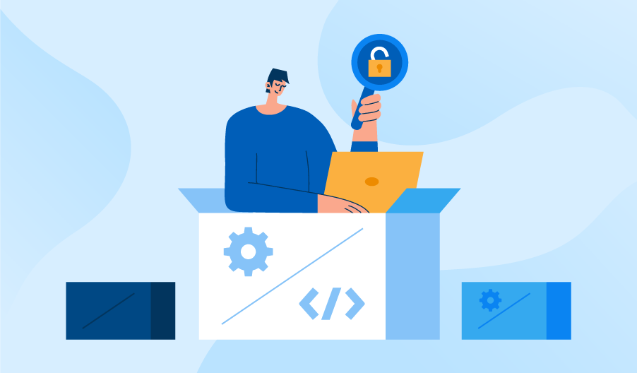 White box pentesting