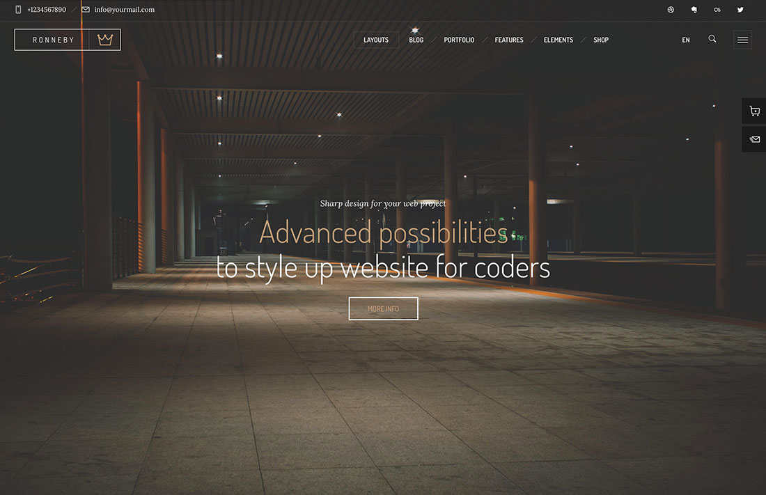 18 Best WordPress Themes for Programmers 2025