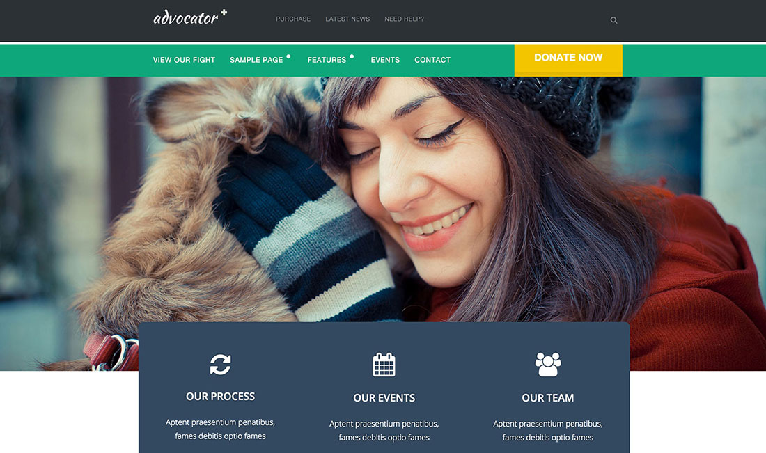 Non Profit WordPress Themes